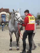 Photo superu
