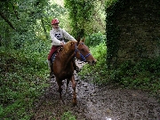 Photo Riquier