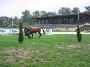Photo superu